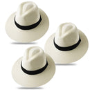 Panama hat 