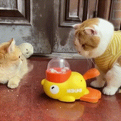 DuckFeed Play — Alimentação com diversão e estímulo