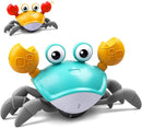Funny Crab 
